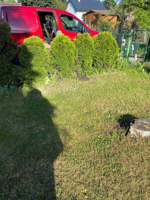 ROD Działka Stowarzyszenie działkowe ul. Janka Muzykanta przy Taczaka - Widok 4