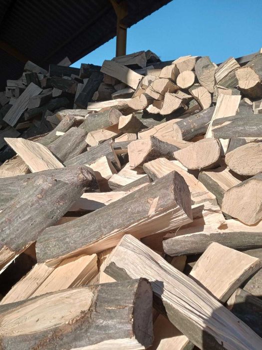 Dąb, Buk, Brzoza, Sosna, Jesion Drewno Kominkowe, Opałowe
