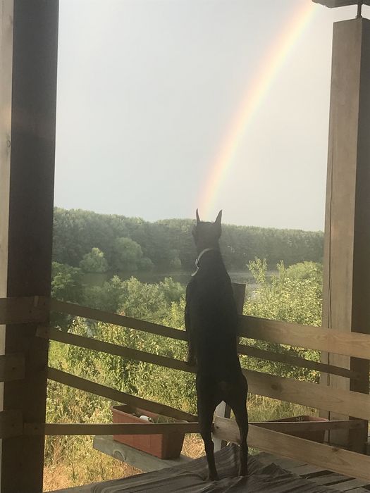 Дом по адресу ул. Магистратская (площадь 160 м²) - Atlanta.ua - фото 9