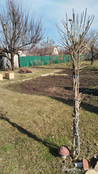 Продам дачний участок 4сотки    р.  Кільчень  з будівлею Самаровка