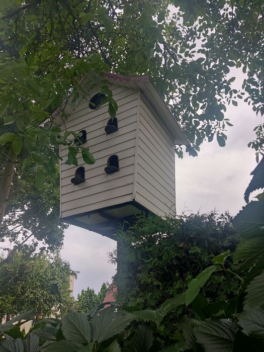 Domek dla gołębi na nużce