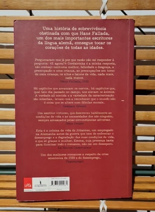 E Agora, Zé-Ninguém?