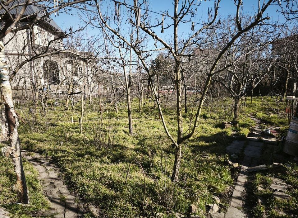 Продам ділянку 6,2 с.під забудову в СОГ Лебідь Сухий Лиман (032-453)