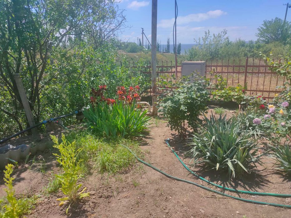 Продам Дачу в Лупарево