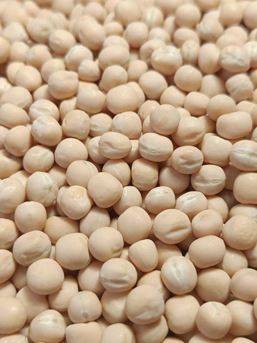 Насіння гороху для мікрозелені (мікрогрін)