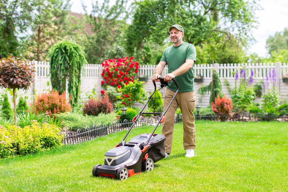 Pinturas, Emassamento, Pequenas Reparações e Jardinagem