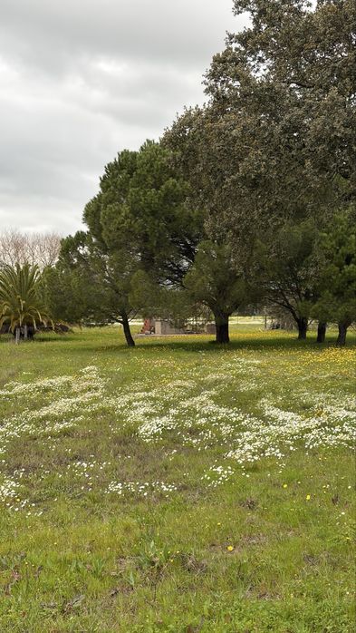 Country Estate of 0.5 Ha in Évora
