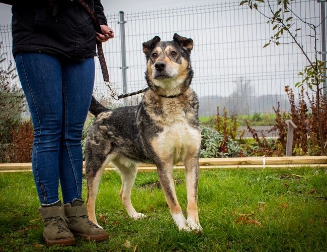 Amil czeka na domek!