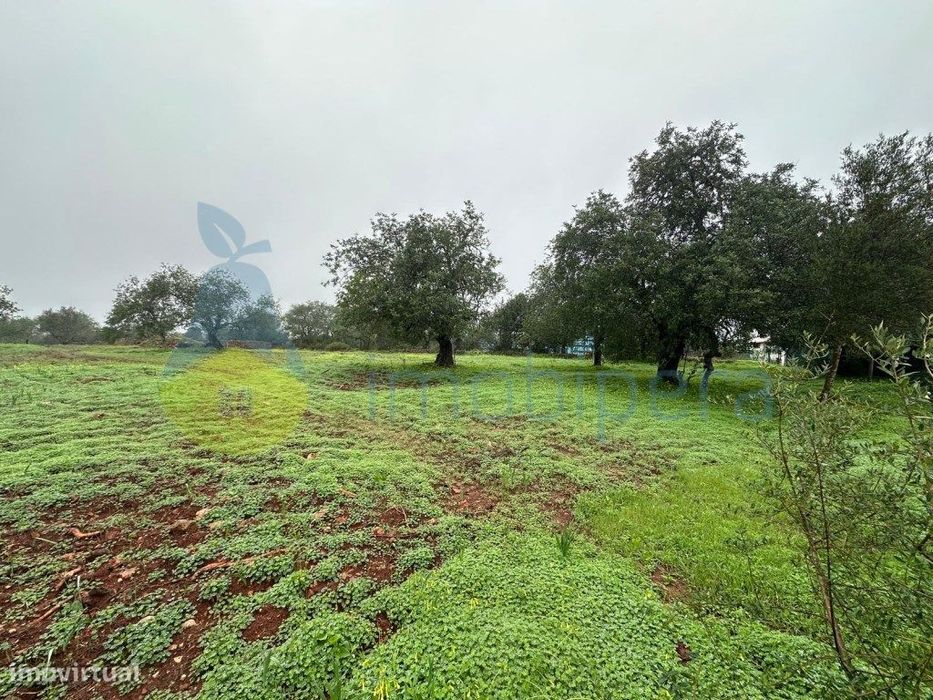 Albufeira, Ferreiras! Terreno plano, com possibilidade futura de co...