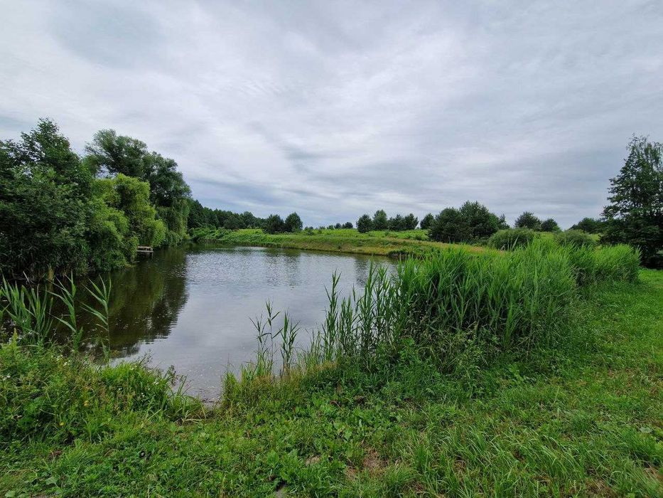 Затишна дача біля соснового лісу с. Любимівка