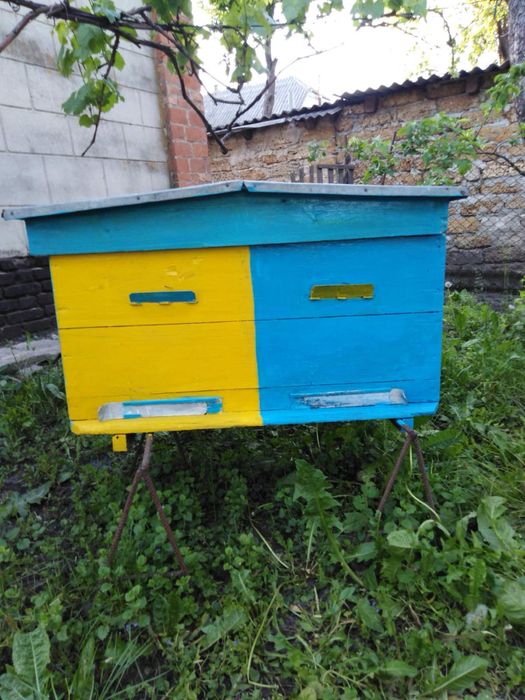 Вулики бджолині в гарному стані