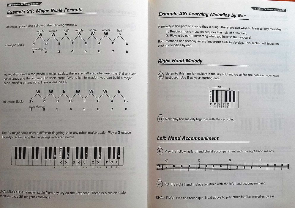 Cavalier e Steelman. Keyboard Basics Beginner Series Grande Incl porte