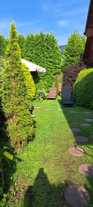 Domki nad morzem z ogródkami 600m od plaży w Ostrowie kolo Karwi