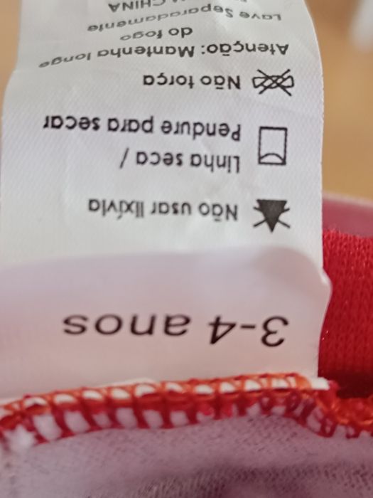 Fato carnaval Joaninha