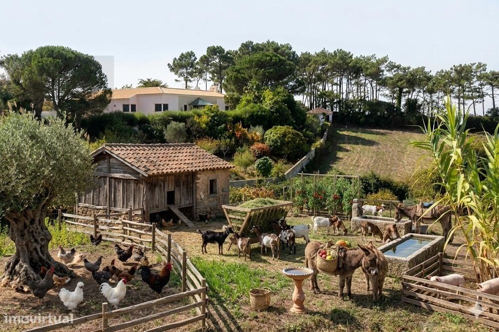 Terreno rústico - Casal da Serra / Mafra — Igreja Nova E Cheleiros, Lisboa