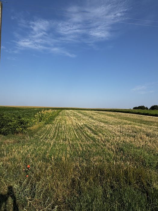 Продаж Землі - 30 сот