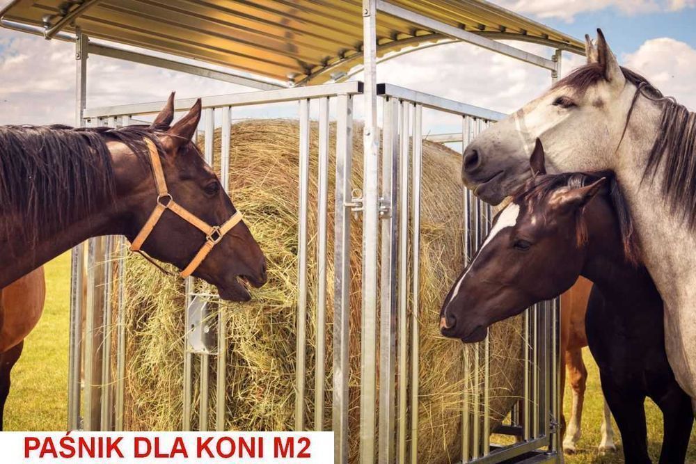 Paśnik dla koni bydła krów opasów alpak