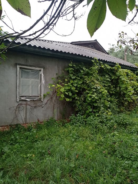 Житловий будинок під лісом в селі Жевідь. ТОРГ.
