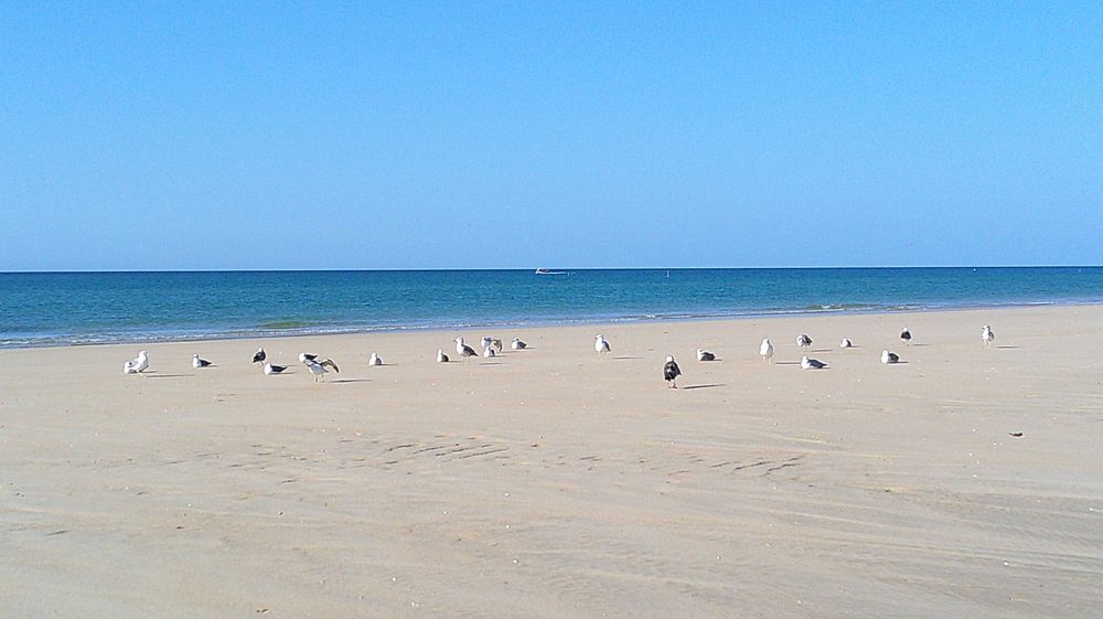 Câmara digital 4K, 48MP 16X Zoom