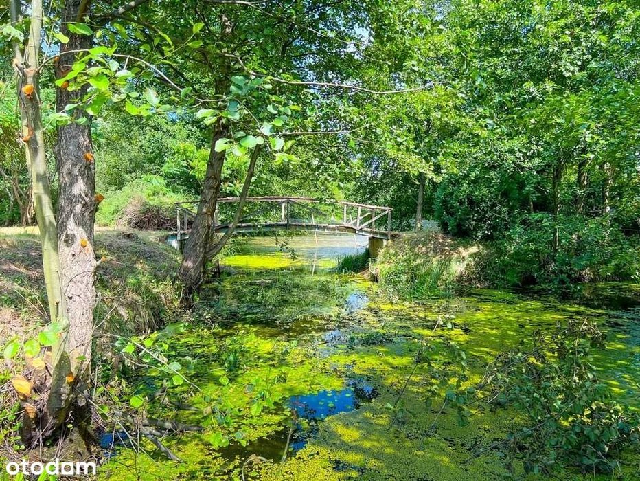 Duża działka w pięknym miejscu z jeziorem