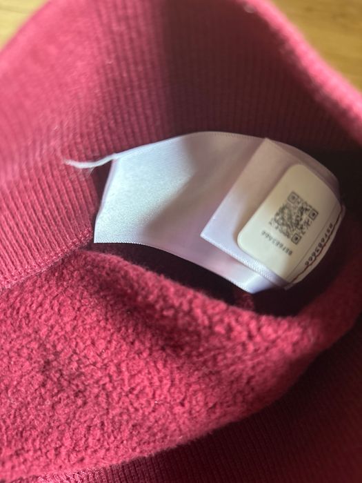 Bluza the North face