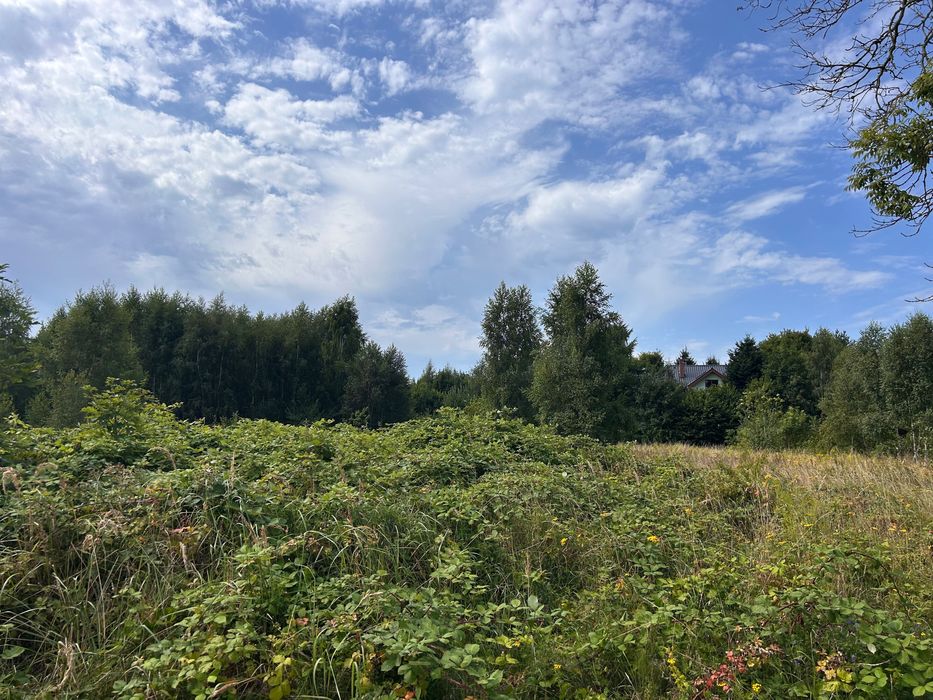 Sprzedam atrakcyjną działkę obok lasu w Dziwnówku