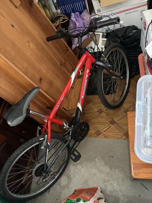 Bicicleta de montanha vermelha da marca TSW, modelo Nature