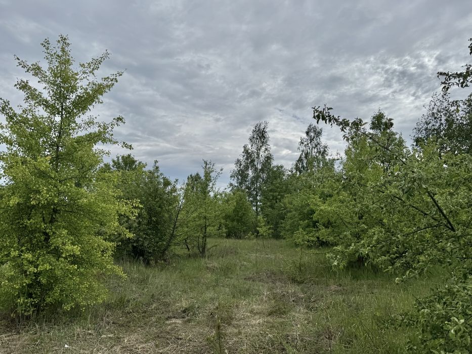 Земельна ділянка 1,5 га!!! Пилиповичі