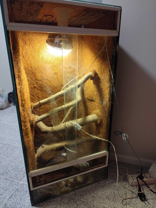 Terrário com cabo de aquecimento e lâmpada