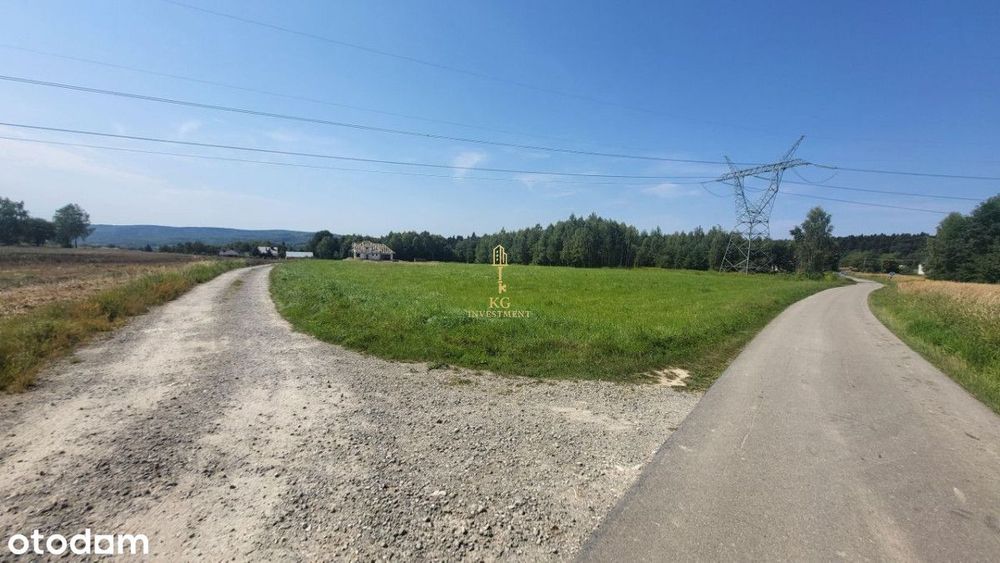 Działka z WZ | Droga | Prąd | Pod lasem | Tereny z - View 3