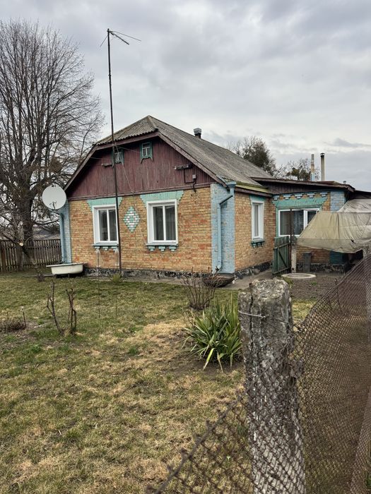 Будинок в селі Велика Снітинка