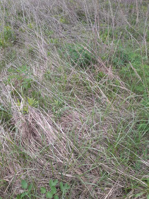 15 сот. Дім. на весну та літо в Броварському рн. За умови!