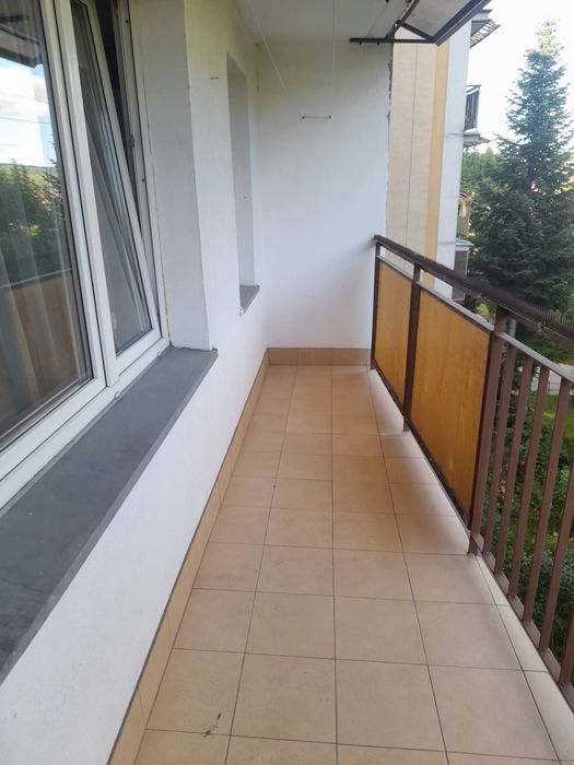 Zdjęcie 8