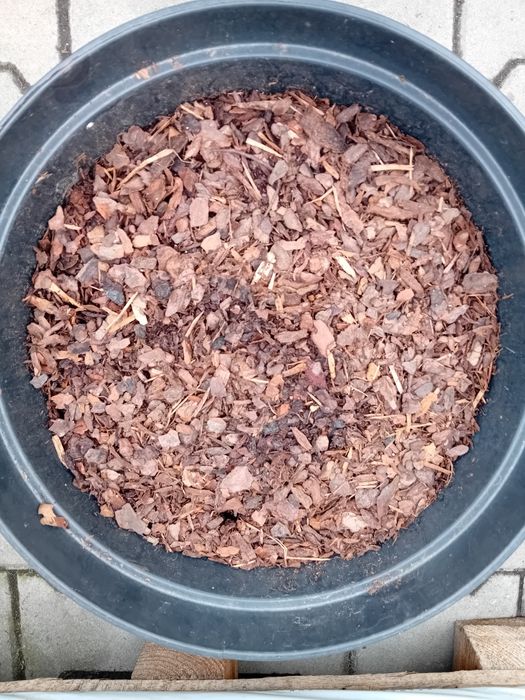 Kora sosnowa drobna frakcja