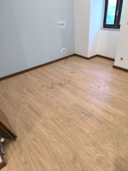 Pintura e e serviço de bricolage e limpeza