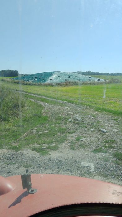 Kiszonka na pryzmie z 2025 r