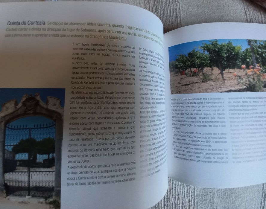 Livro sobre os vinhos da região Oeste Montejunto