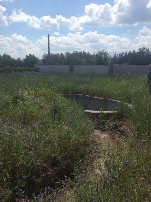 Продам дом в Орловщине . Хозяин. 24 сотки