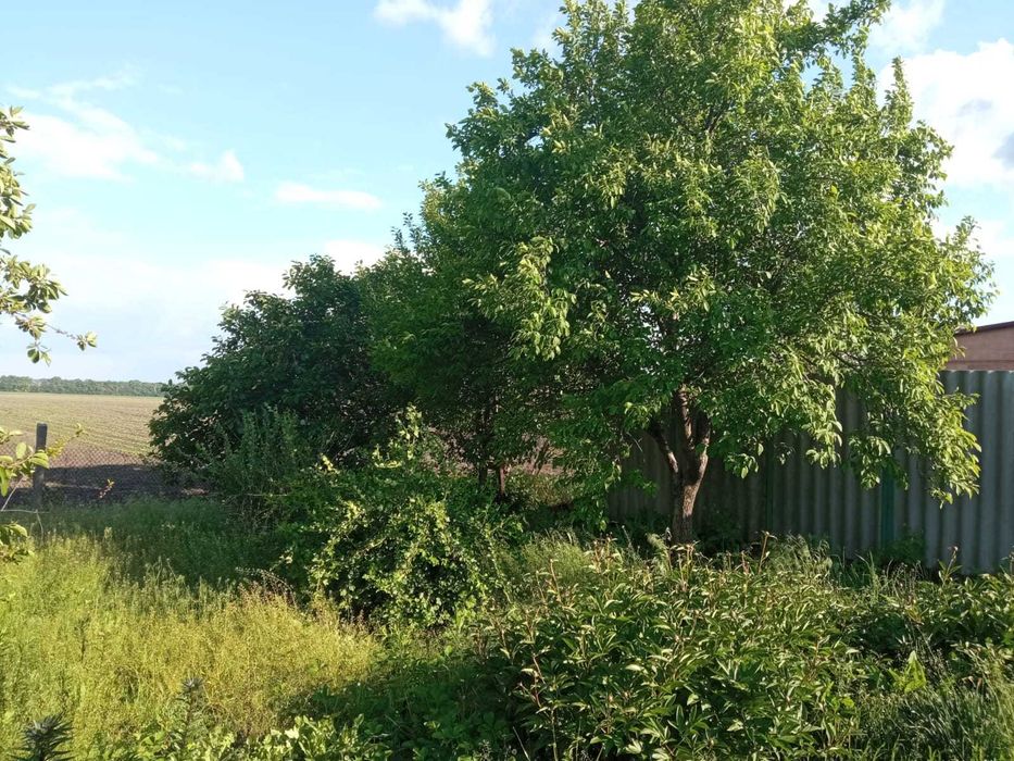 Продам будинок в селі Дубіївка