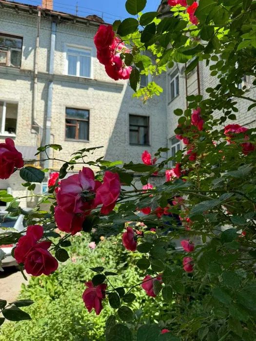 Продам 4-и к/к 85 м2 з гарним розташуванням в самому центрі міста.