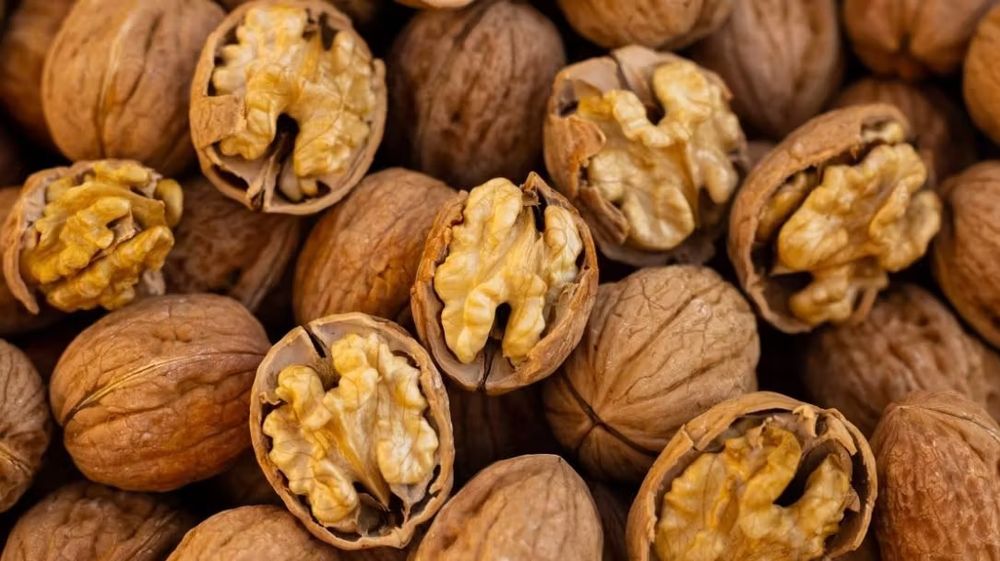 Nozes Caseiras 100% Naturais – 4€/kg (Sem Produtos Químicos)