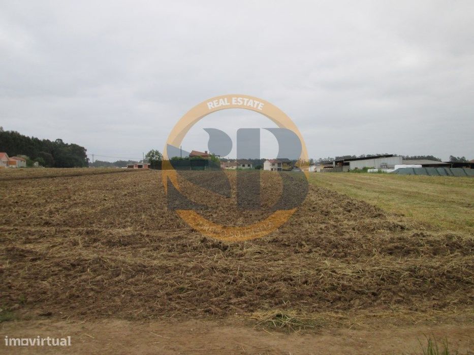 Terreno em Ovar