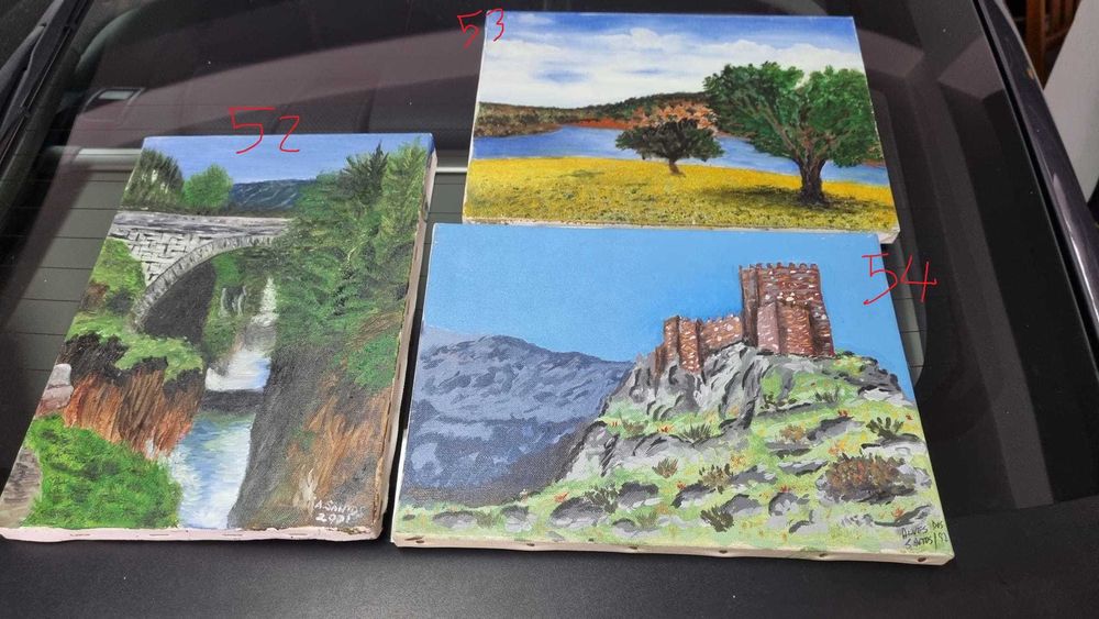 Assorted Paintings - Hand-painted - €564738771596417125