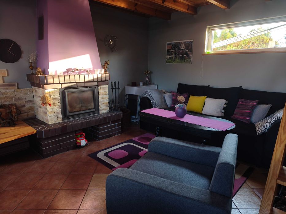 Działka rekreacyjna ROD Gorzycko koło Międzychodu