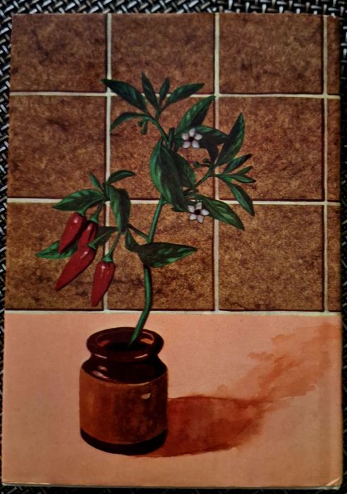 Rośliny żródłem przypraw