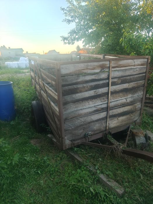 Wózek do świń szweinkosta
