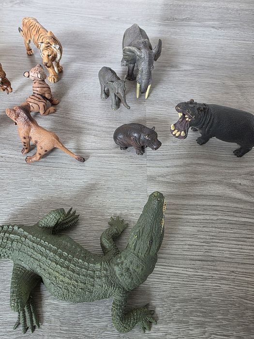 Animais selvagens e animais da quinta