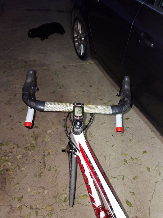 Bicicleta estrada carbono