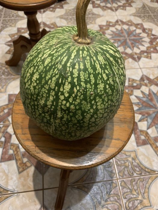 Фіцефалія олх замовлення