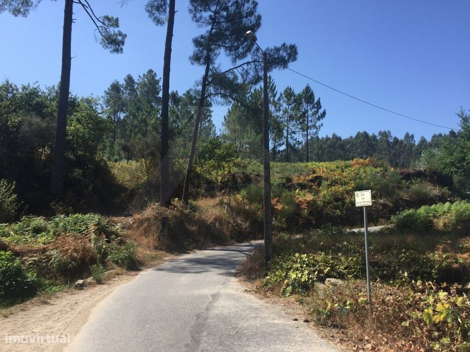Terreno c/ 6.000 m2 (5 bouças).